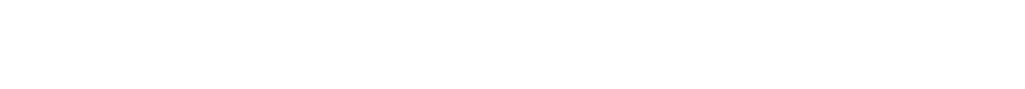 Noleggio con Conducente-Ncc-Auto Blu-Cab-Taxi Driver Whith Car-  Servizi da e per gli aeroporti Centro Città Stazioni Ferroviarie.