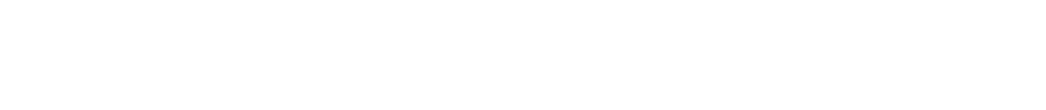 Servizio di Noleggio Auto con conducente Prenotabile da e per Aeroporti Stazioni   Ferroviarie Terminal bus Alberghi  Bed e Breakfast Alloggi Indirizzi Privati.